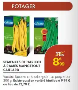 Point Vert CAILLARD Semences de haricot à rames mangetout offre