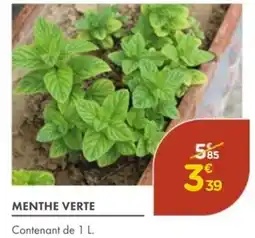 Point Vert Menthe verte offre