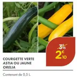 Point Vert Courgette verte astia ou jaune orelia offre