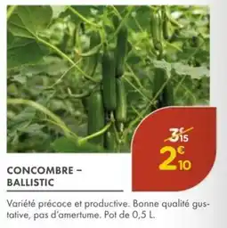 Point Vert Concombre - ballistic offre
