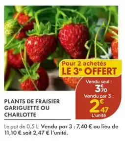Point Vert Plants de fraisier gariguette ou charlotte offre