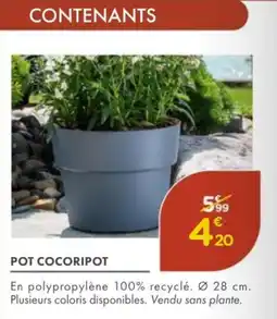 Point Vert Pot cocoripot offre