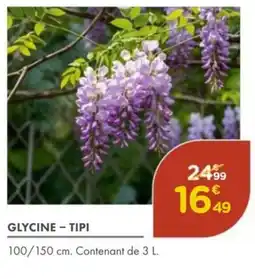 Point Vert Glycine - tipi offre