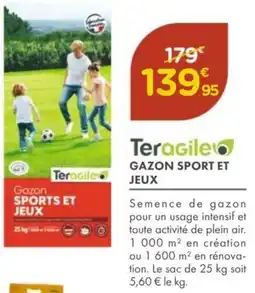 Point Vert TERAGILE Gazon sport et jeux offre