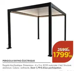 Point Vert Pergola rayno électrique offre