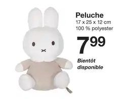 Zeeman Peluche offre