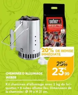 Point Vert WEBER Cheminée d'allumage offre
