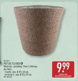 ALDI Pot de fleurs offre