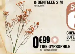La Foir'Fouille Tige gypsophile offre