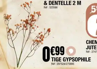 La Foir'Fouille Tige gypsophile offre