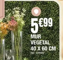 La Foir'Fouille Mur vegetal offre