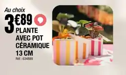 La Foir'Fouille Plante avec pot céramique offre