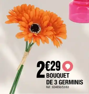 La Foir'Fouille Bouquet de 3 germinis offre