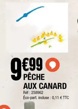 La Foir'Fouille Pêche aux canard offre