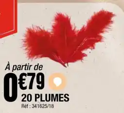 La Foir'Fouille 20 plumes offre