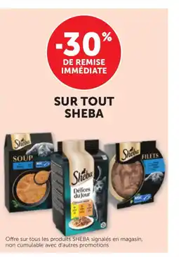 Bi1 SHEBA offre