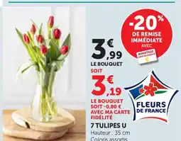 Bi1 7 Tulipes u offre