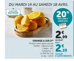 Bi1 U Orange a jus offre
