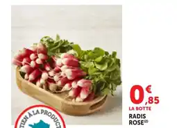 Bi1 Radis rose offre