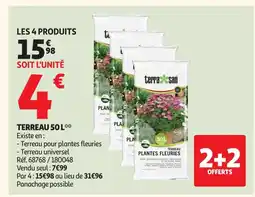 Auchan Terreau offre