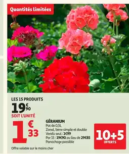Auchan Géranium offre