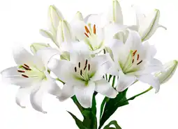 Auchan Sans marque bouquet de 5 lys longiflorum offre