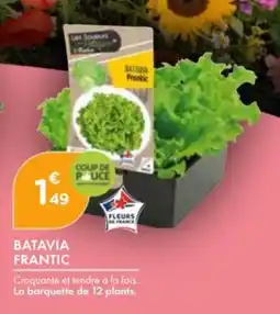 Point Vert Batavia frantic offre