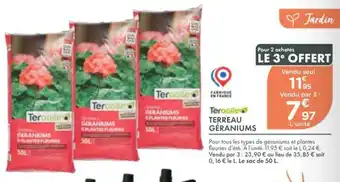 Teragile terreau géraniums