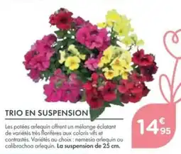 Point Vert Trio en suspension offre