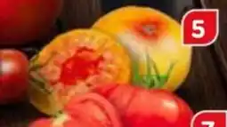 Point Vert Tomate ananas sélection anasun offre