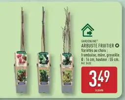 ALDI Arbuste fruitier offre
