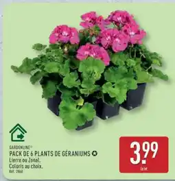 ALDI PACK DE 6 PLANTS DE GÉRANIUMS offre