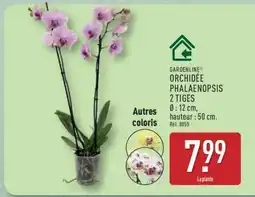 ALDI GARDENLINE ORCHIDÉE PHALAENOPSIS 2 TIGES offre