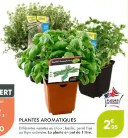 Point Vert Plantes aromatiques offre