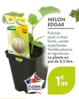 Point Vert Melon edgar offre
