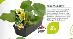 Point Vert Trio courgette offre