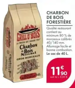 Point Vert Charbon de bois forestière offre