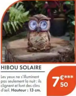 Point Vert Hibou solaire offre
