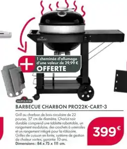 Point Vert Barbecue charbon pro22k-cart-3 offre