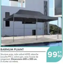 Point Vert Barnum pliant offre