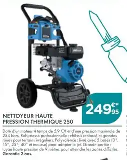 Point Vert Nettoyeur haute pression thermique 250 offre