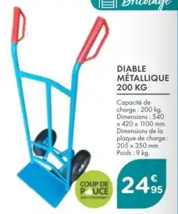 Point Vert Diable métallique offre