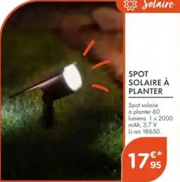 Point Vert Spot solaire à planter offre