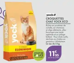 Point Vert Yock croquettes chat yock eco offre