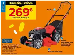 Castorama SCHEPPACH Tondeuse thermique offre