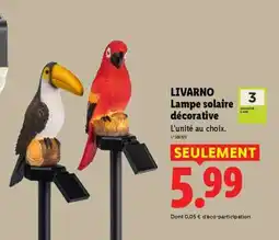 Lidl LIVARNO Lampe solaire décorative offre