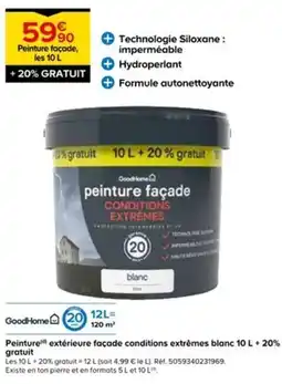 Castorama Peinture façade offre