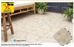 Castorama Carrelage sol extérieur searocca mix beige et marron 30 x 30 cm offre