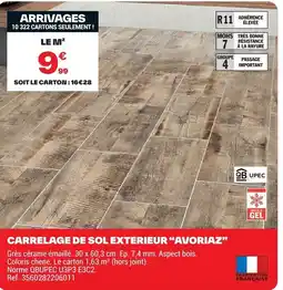 Brico Dépôt Carrelage de sol exterieur "avoriaz" offre
