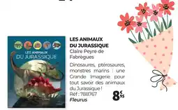 Auchan LES ANIMAUX DU JURASSIQUE Claire Peyre de Fabrègues offre